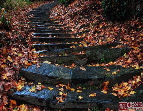 487d1861t9517a23251a3&690.jpg 487d1861t9517a23251a3&690.jpg