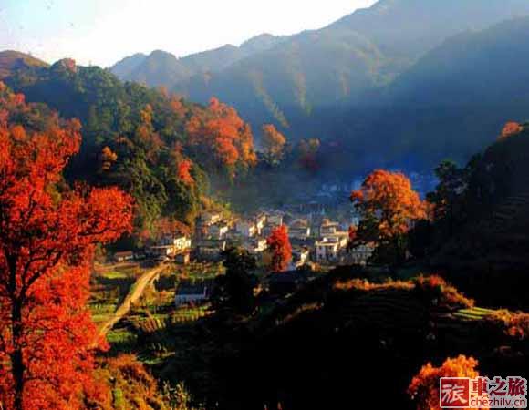 10759389_938730.jpg 10759389_938730.jpg