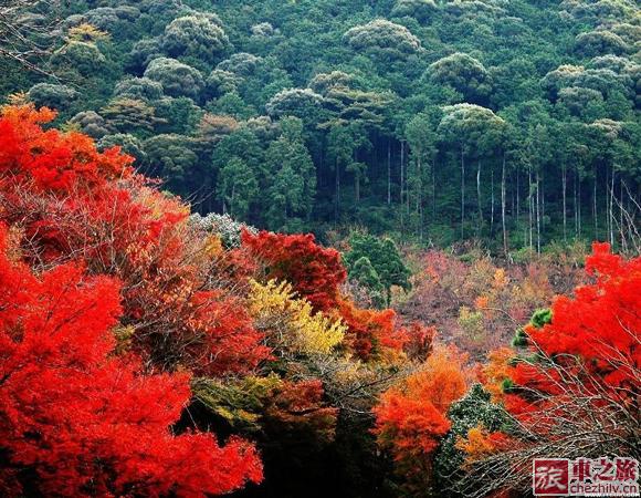 200811620301819861.jpg 200811620301819861.jpg