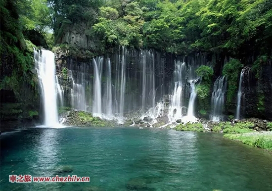 640_wxfmt=jpeg&wxfrom=5&tp=webp.webp (20).jpg