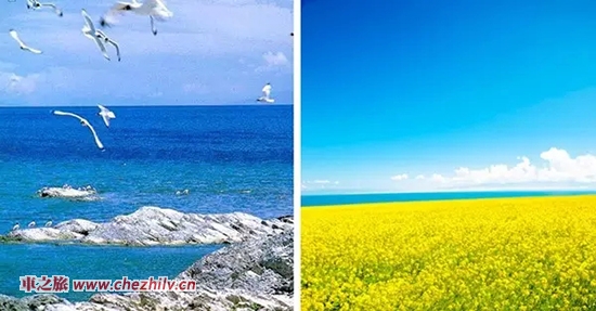 640_wxfmt=jpeg&wxfrom=5&tp=webp.webp (7).jpg