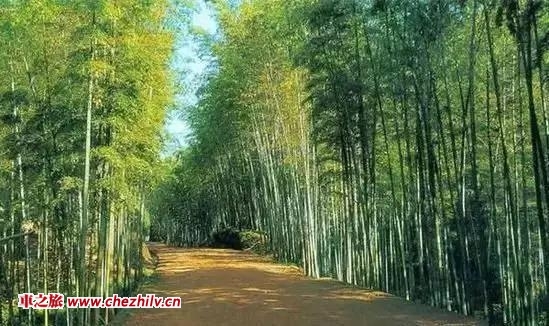 圖片22.jpg 圖片22.jpg