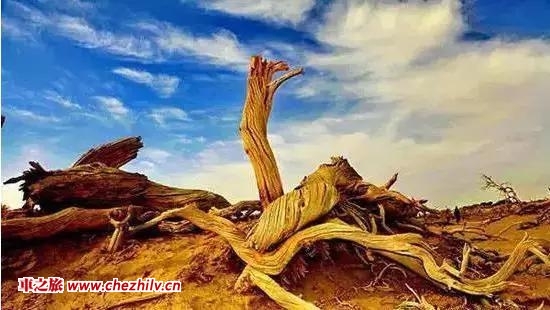 圖片36.jpg 圖片36.jpg