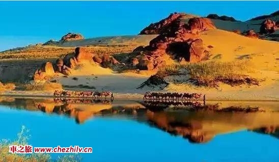 圖片34.jpg 圖片34.jpg