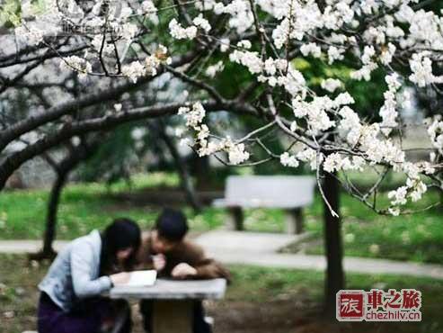 武漢大學.jpg 武漢大學.jpg