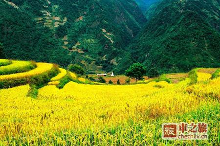 06203a3b96d393d2a5a8b951a64f14ee.jpg 06203a3b96d393d2a5a8b951a64f14ee.jpg