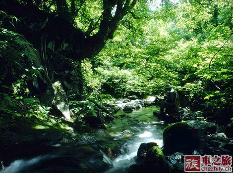 自駕京郊百花山4.jpg 自駕京郊百花山4.jpg