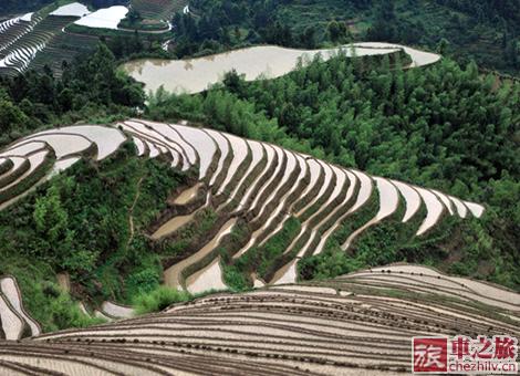 龍脊梯田2.jpg 龍脊梯田2.jpg