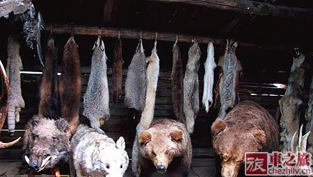 2011060912041390018.jpg 2011060912041390018.jpg