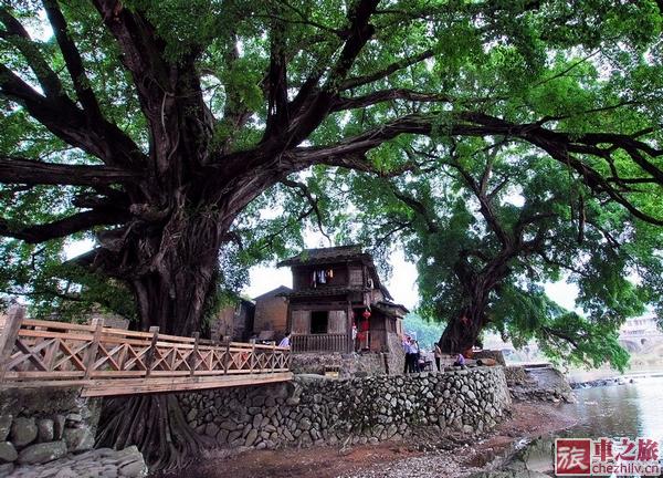 53105767201005212204444079162830584_026.jpg 53105767201005212204444079162830584_026.jpg