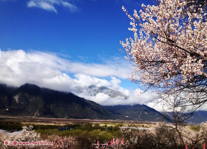 林芝.jpg 林芝.jpg