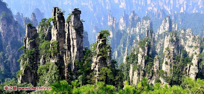 張家界.jpg 張家界.jpg
